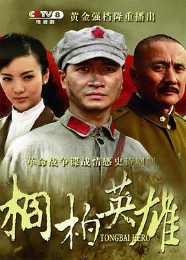 桐柏英雄第11集