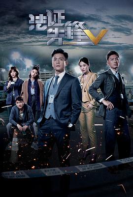 法证先锋5粤语第22集