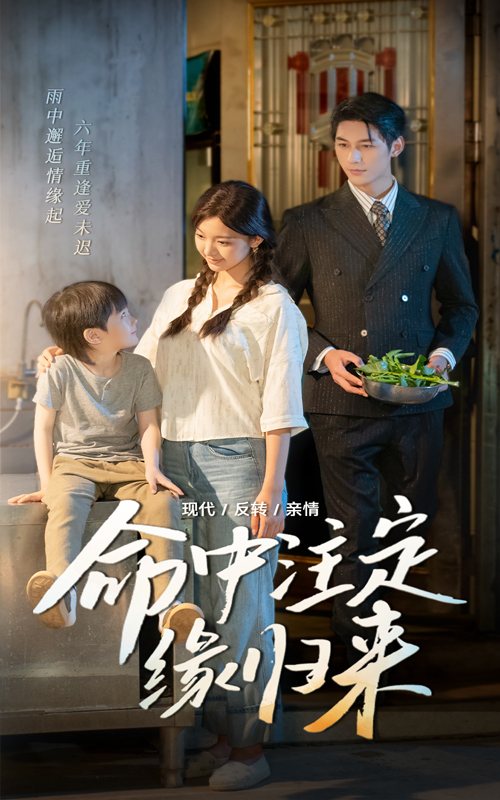 命中注定缘归来第43集