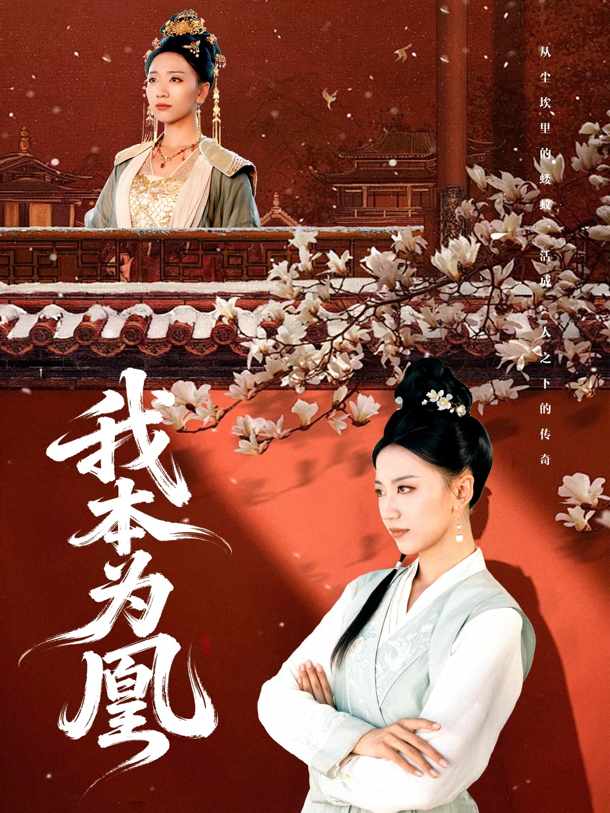 我本为凰第15集