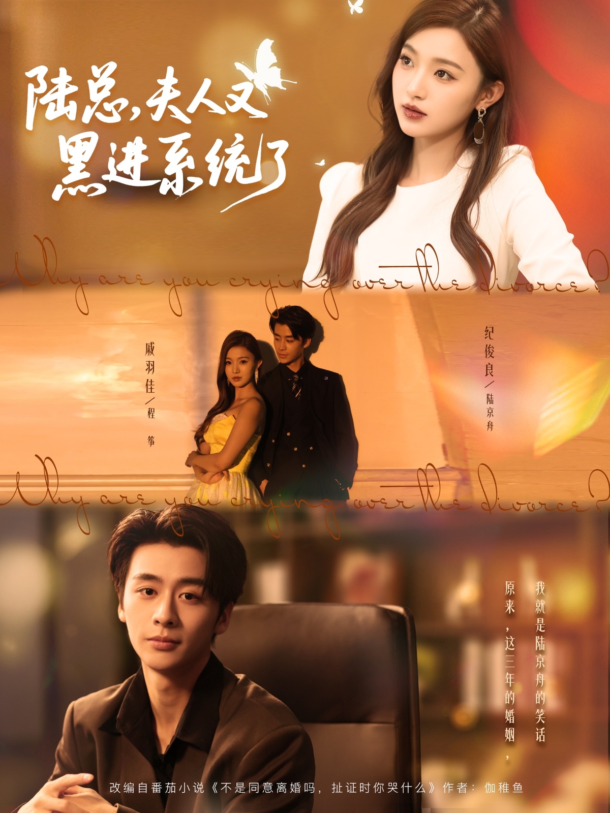 陆总夫人又黑进系统了第56集