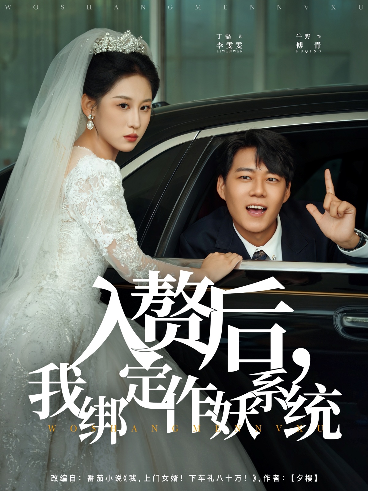 入赘后我绑定作妖系统第44集