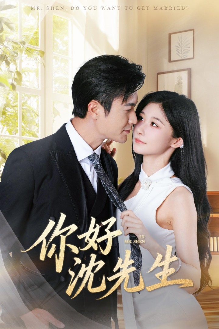 你好沈先生第43集