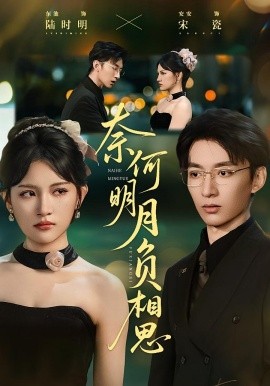 奈何明月负相思第38集