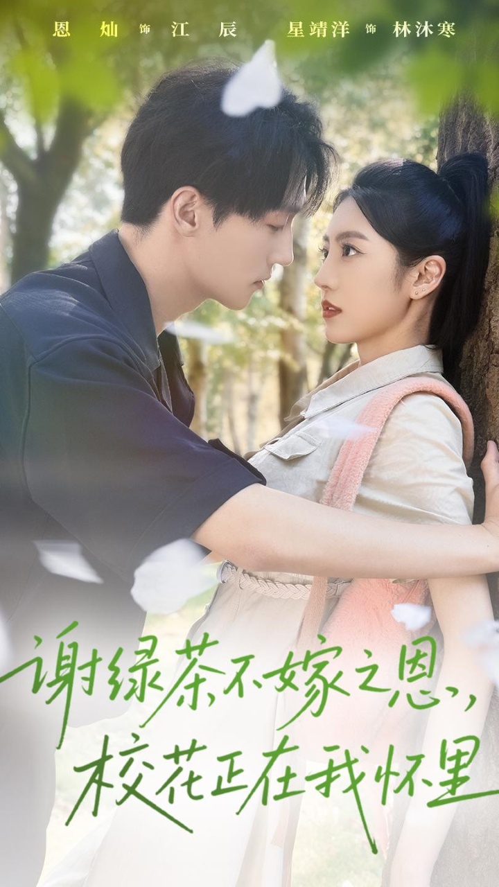 谢绿茶不嫁之恩校花正在我怀里第39集