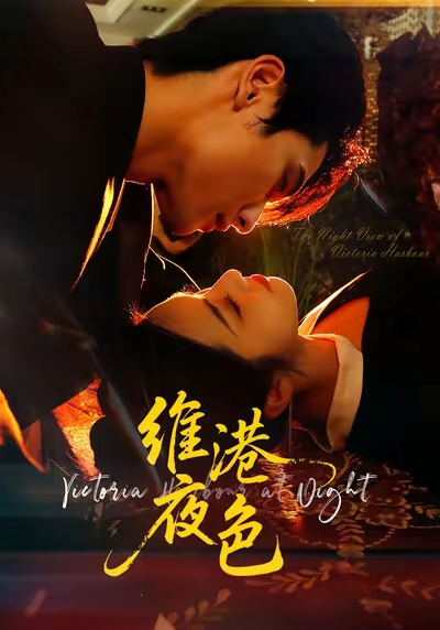 维港夜色第38集