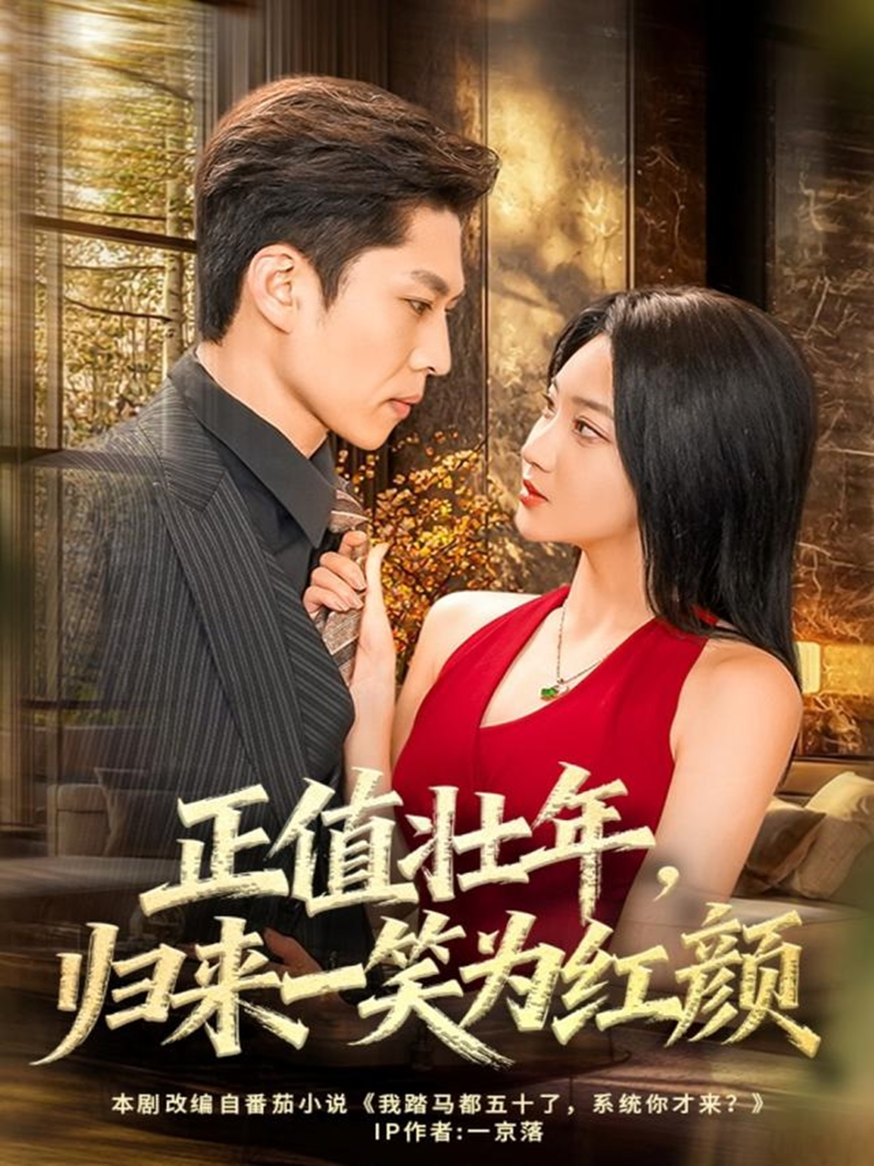 正值壮年，归来一笑为红颜第10集