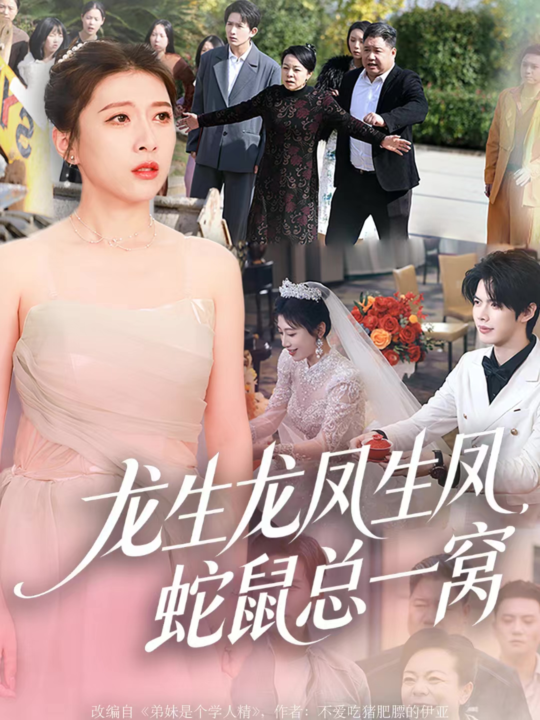 龙生龙凤生凤，蛇鼠总一窝第39集