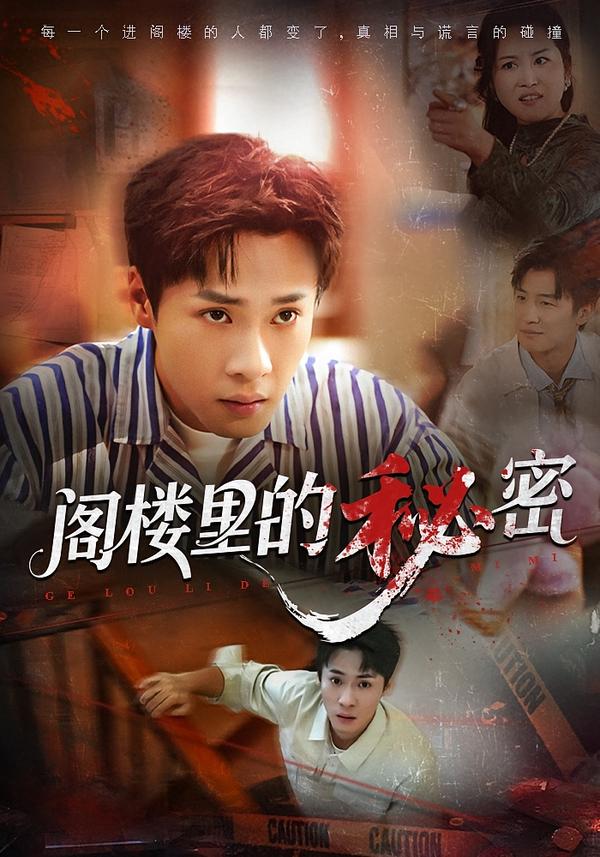 阁楼里的秘密第12集