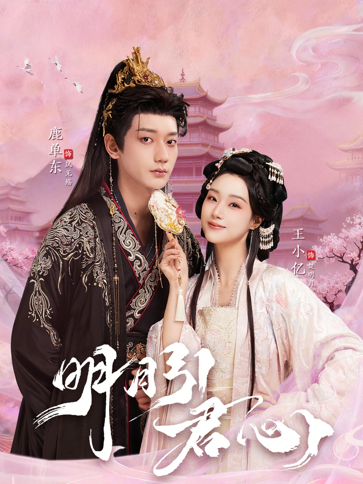 明月引君心第20集