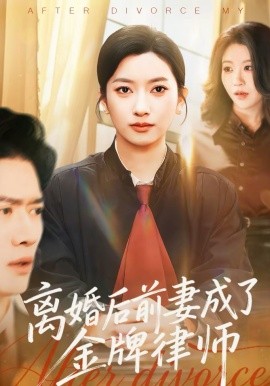 离婚后前妻成了金牌律师第12集