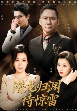 潜龙归渊待惊雷第34集