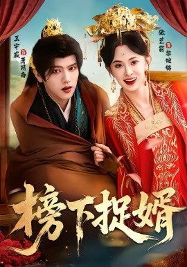 榜下捉婿第73集