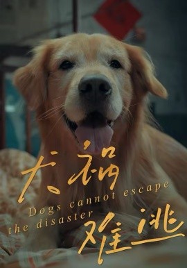 犬祸难逃第02集
