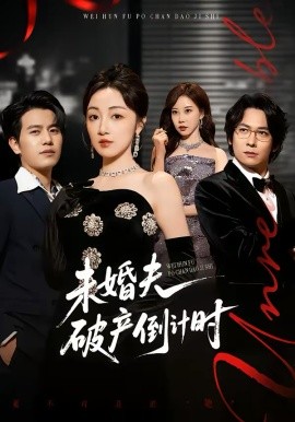 未婚夫破产倒计时第16集