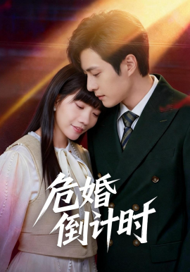 危婚倒计时第38集