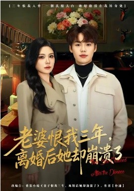 老婆恨我三年，离婚后她却崩溃了第31集
