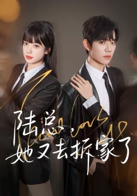 陆总，她又去拆家了第39集