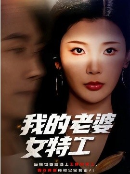 我的老婆女特工第20集