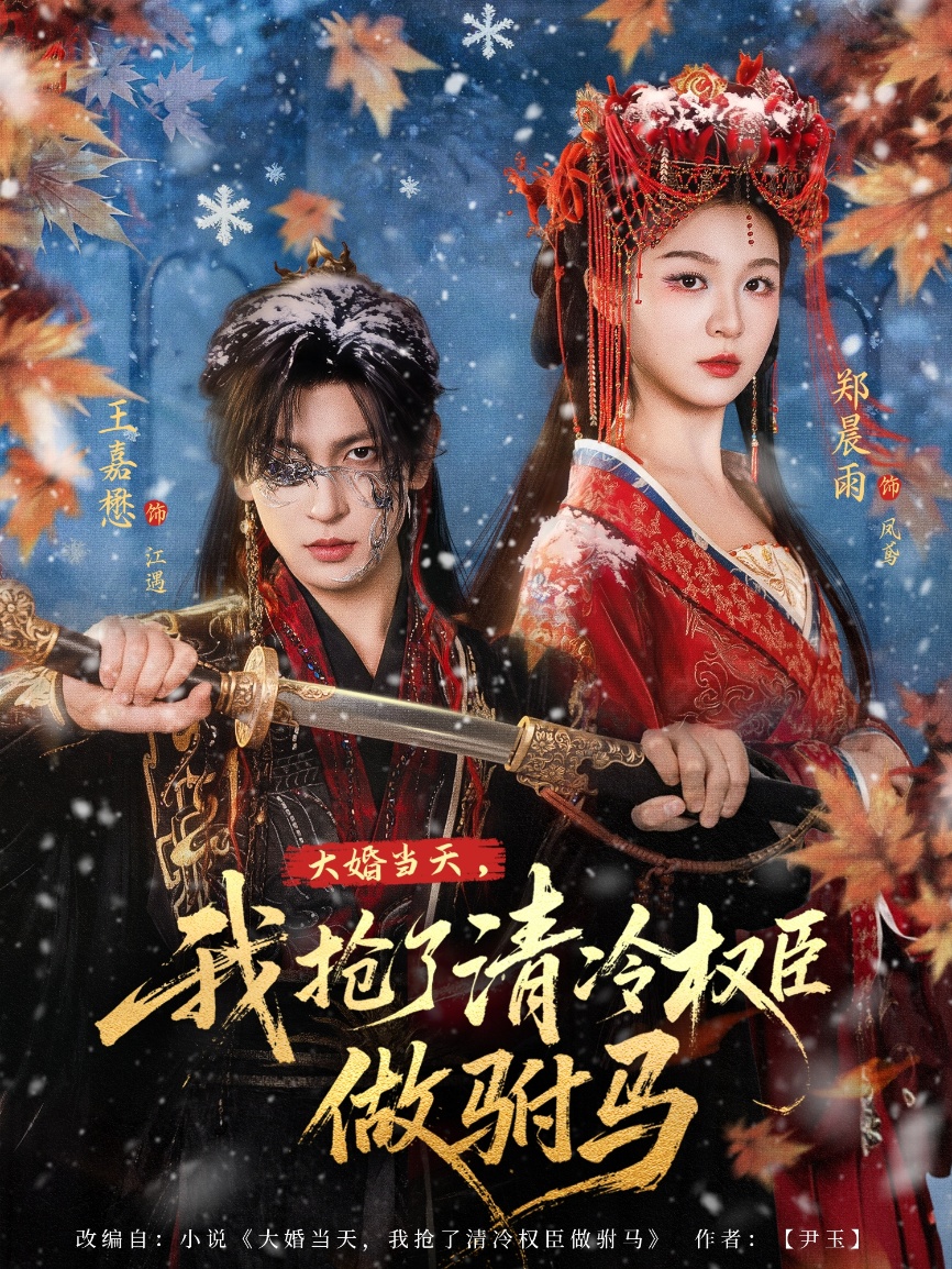 大婚当天，我抢了清冷权臣做驸马HD(大结局)
