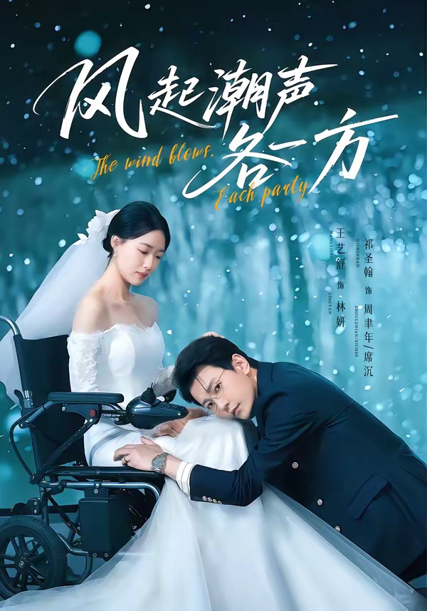风起潮声各一方第39集