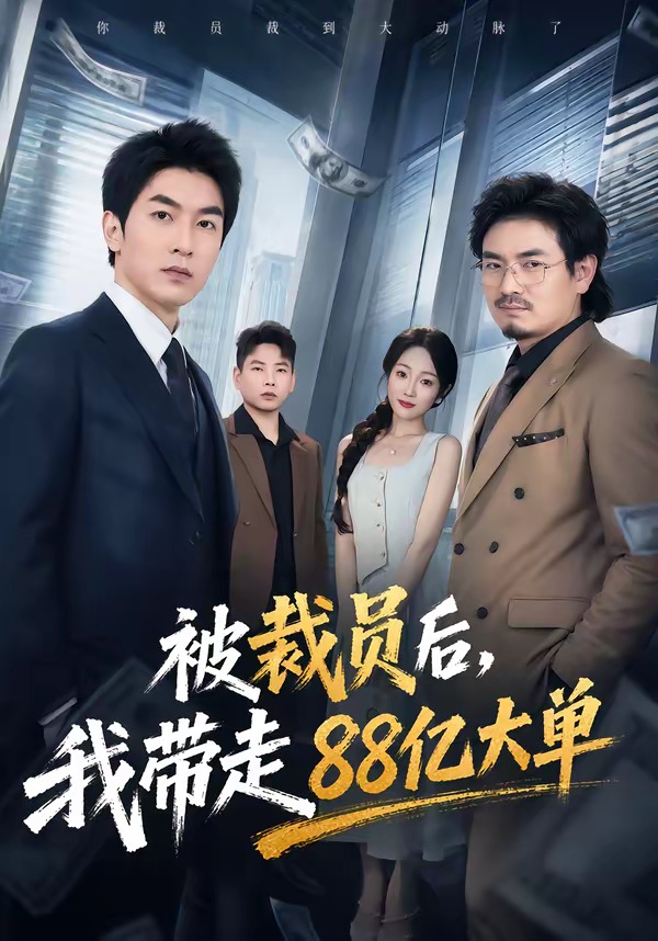 被裁员后，我带走88亿大单(全集)
