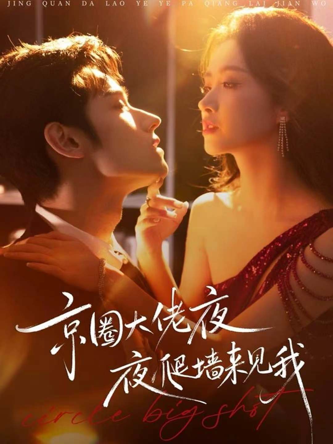 京圈大佬夜夜爬墙来见我(全集)