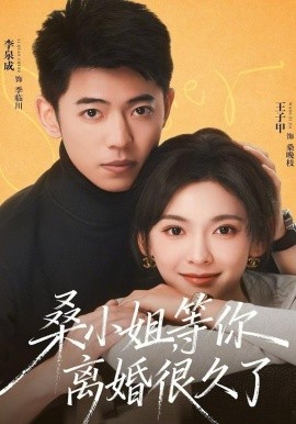 桑小姐，等你离婚很久了(全集)